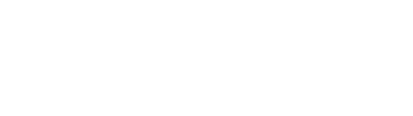 Satelity Security Global